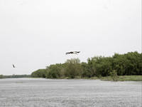 apiexpo_pasieki2011_081