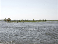 apiexpo_pasieki2011_095