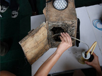 apiexpo_pasieki2011_103