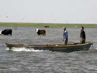 apiexpo_pasieki2011_105