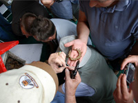 apiexpo_pasieki2011_106