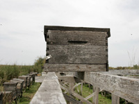 apiexpo_pasieki2011_109