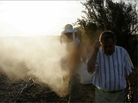 apiexpo_pasieki2011_110