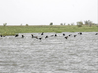 apiexpo_pasieki2011_117