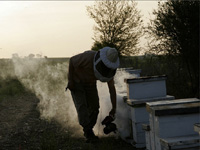 apiexpo_pasieki2011_119