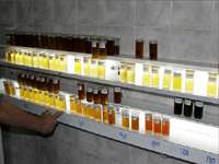 apiexpo_pasieki2011_121