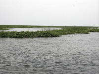 apiexpo_pasieki2011_122