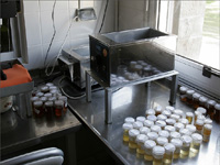 apiexpo_pasieki2011_124