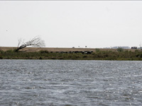 apiexpo_pasieki2011_129