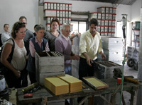 apiexpo_pasieki2011_136