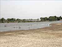 apiexpo_pasieki2011_150