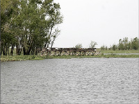 apiexpo_pasieki2011_173