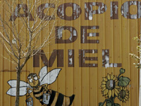 apiexpo_pasieki2011_181