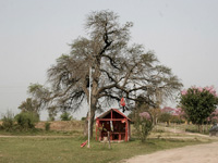 apiexpo_pasieki2011_186