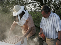 apiexpo_pasieki2011_188