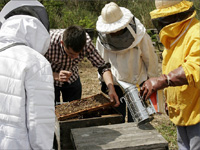 apiexpo_pasieki2011_198