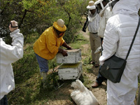 apiexpo_pasieki2011_157