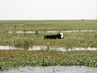 apiexpo_pasieki2011_201