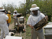 apiexpo_pasieki2011_157