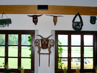 palka_21sm