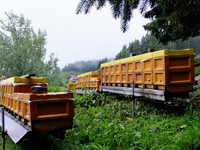 gritsch_9_sm