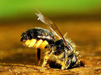 31_paluch_sm