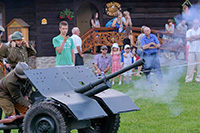 biesiada2014_bug_102_sm