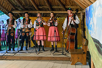 biesiada2014_bug_108_sm
