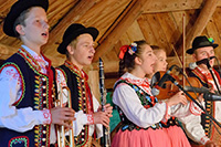 biesiada2014_bug_109_sm