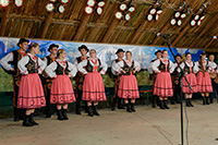 biesiada2014_bug_110_sm