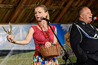 biesiada2014_bug_116_sm
