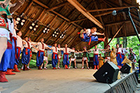 biesiada2014_bug_45_sm