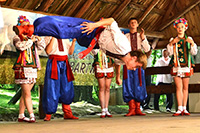 biesiada2014_bug_47_sm
