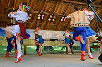 biesiada2014_bug_48_sm