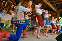 biesiada2014_bug_49_sm