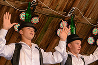 biesiada2014_bug_55_sm