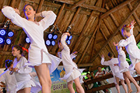 biesiada2014_bug_58_sm
