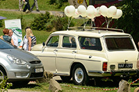 biesiada2014_bug_72_sm