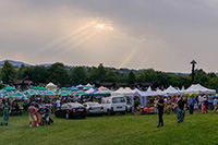 biesiada2014_bug_75_sm