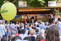 biesiada2014_bug_84_sm