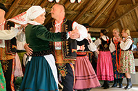 biesiada2014_bug_85_sm