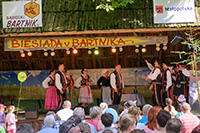 biesiada2014_bug_86_sm