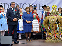 spala_14_11_sm