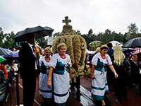 spala_14_20_sm
