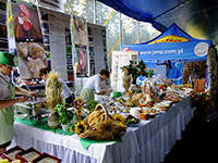spala_14_33_sm