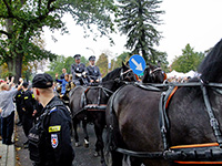 spala_14_3_sm