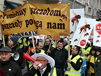 stop_pestycydom_a_sm