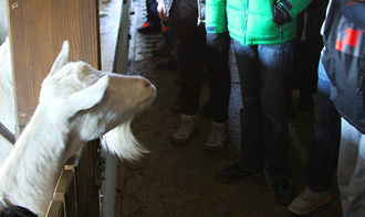 miodowy_dzien_l2_sm