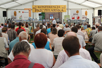 k16_sm