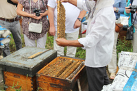 IMG_6730_sm